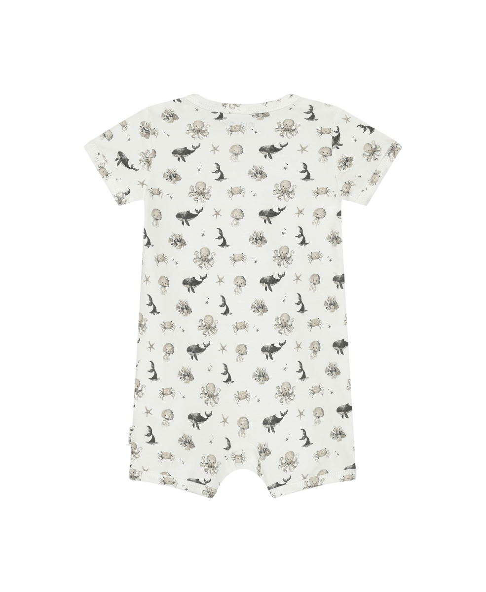 Пісочник 1130619