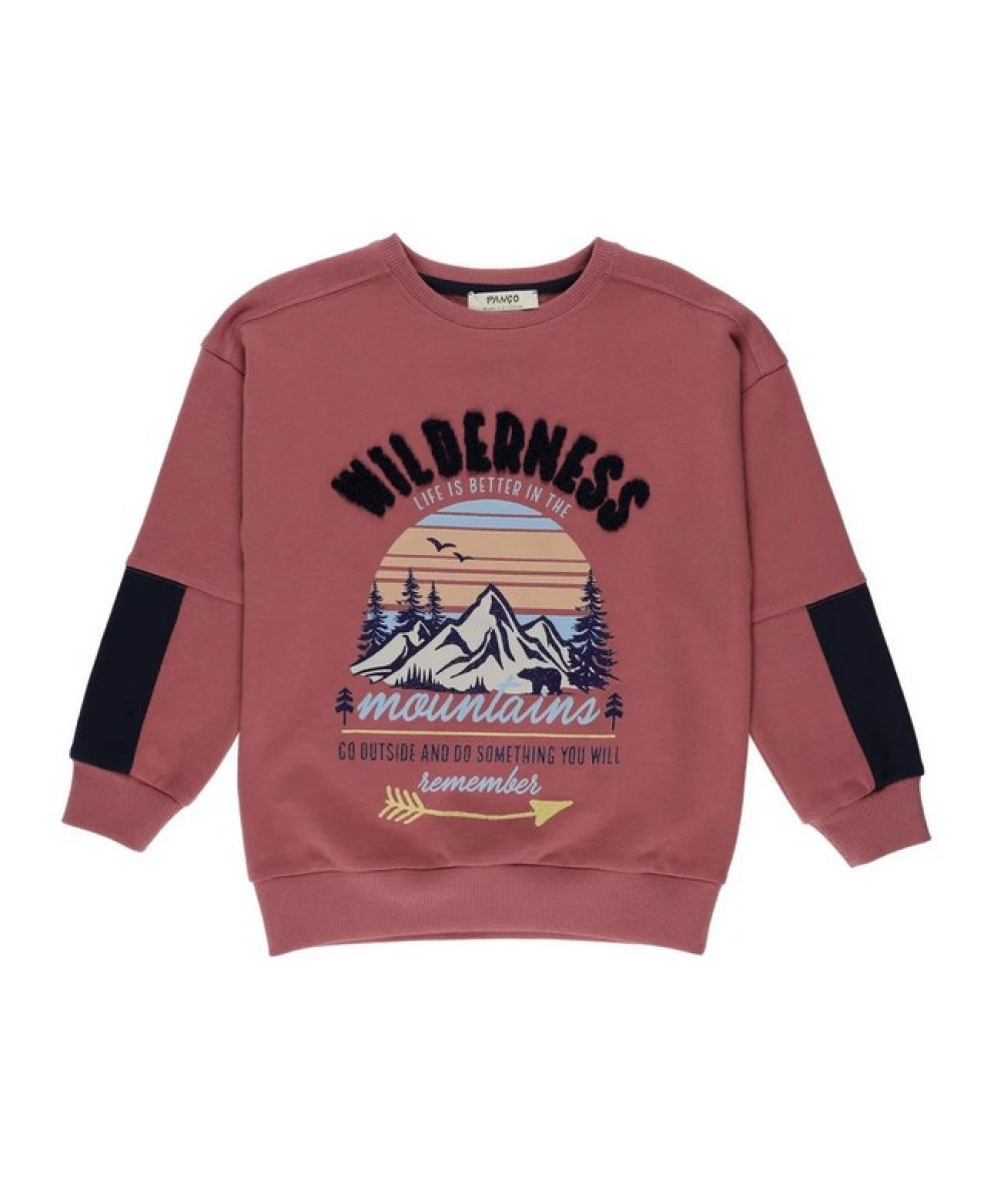 Світшот 1105358