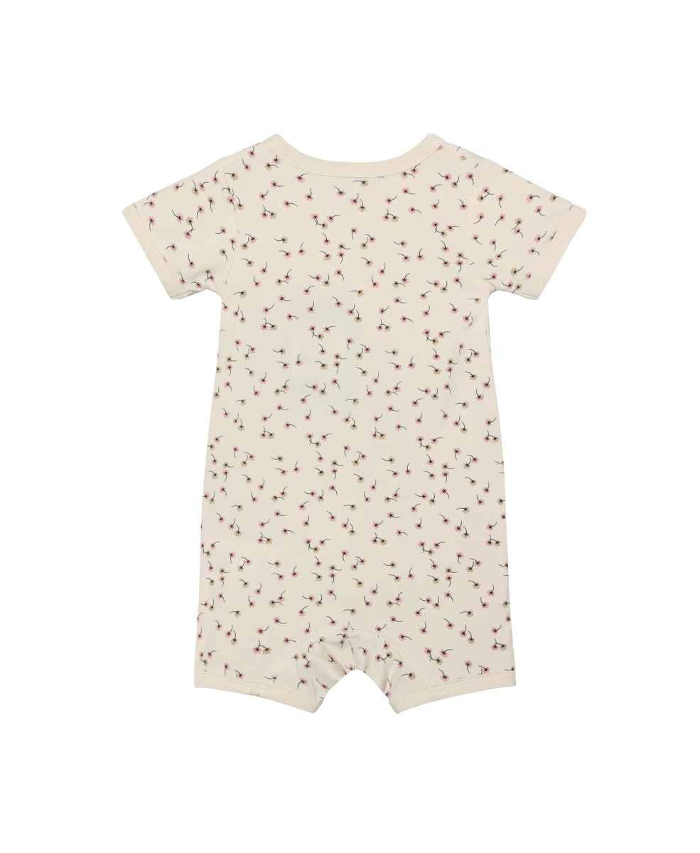 Пісочник 1129734