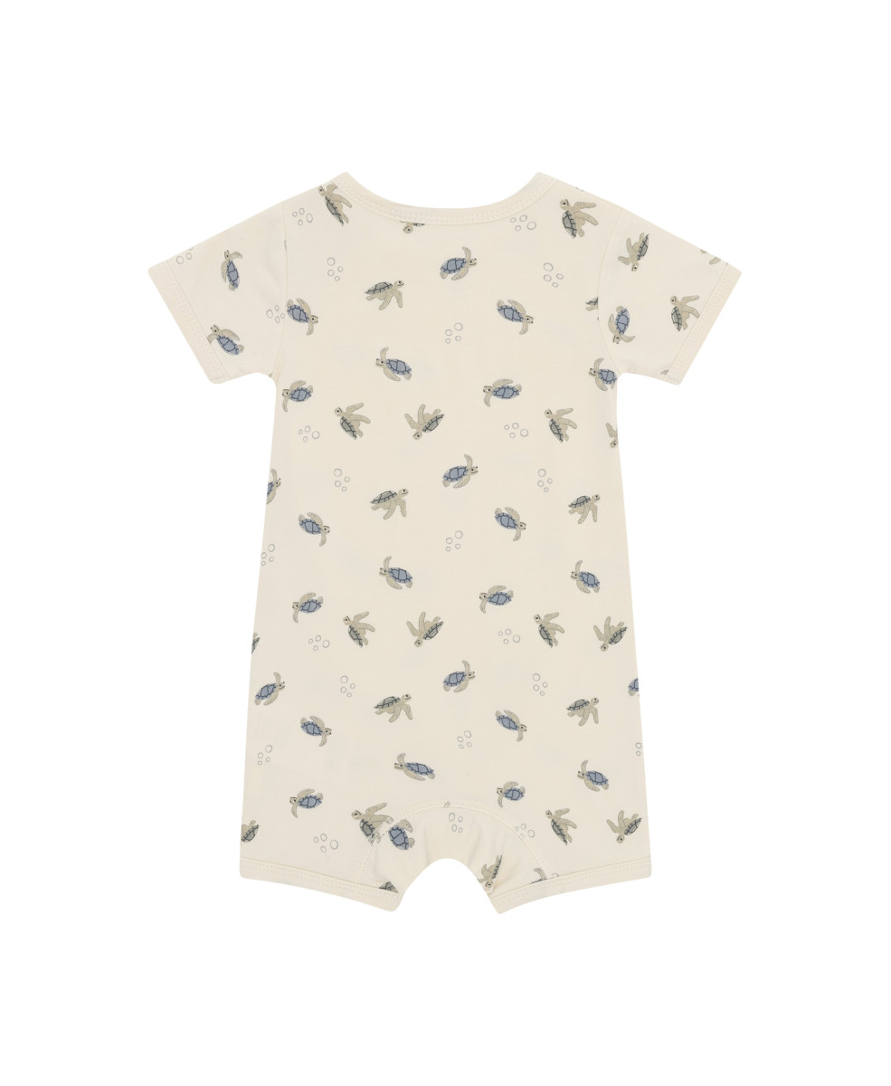 Пісочник 1129737